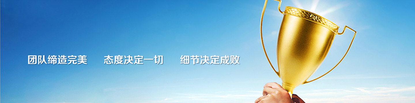 团队缔造完美